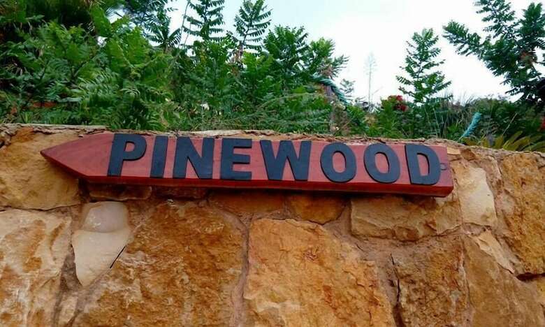 Bed & Breakfast Pinewood Hotel