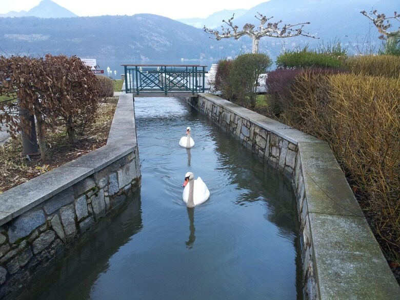 Studio Les Pieds Dans L'eau