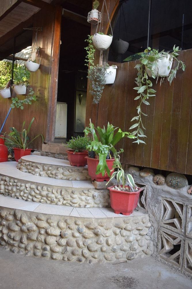 Bed & Breakfast Casa Hospedaje Tingo Maria