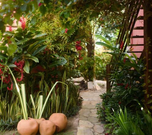 Hostal Pousada Bambu Dourado