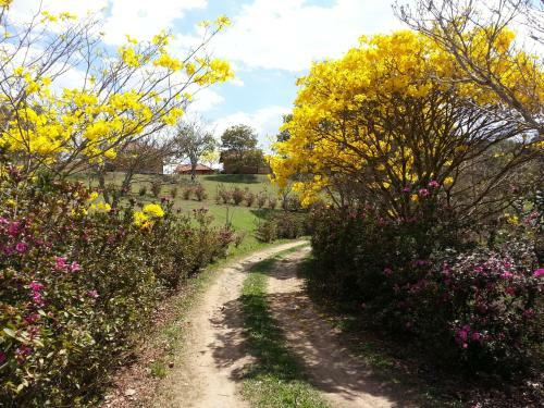 Hostal Recanto De Cunha