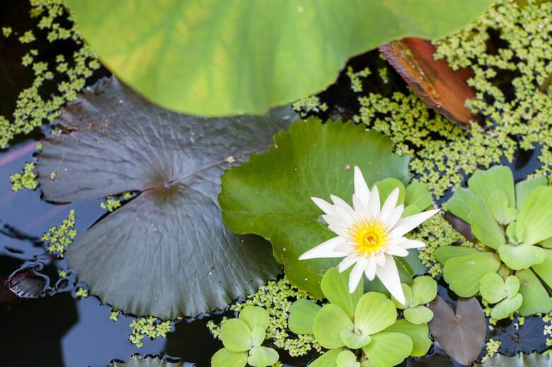 Stylish & Authentic Thai House Right On The Beach!