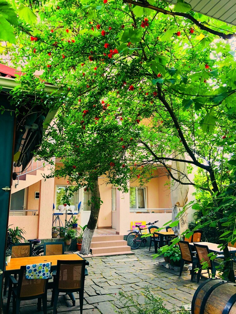 Bed & Breakfast Abrikos