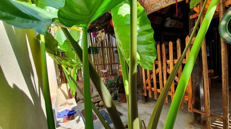 Hotel Queen Ponaland Homestay