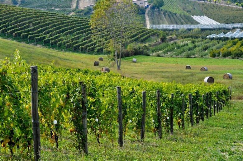 Agroturismo Agriturismo C'era UNA Volta