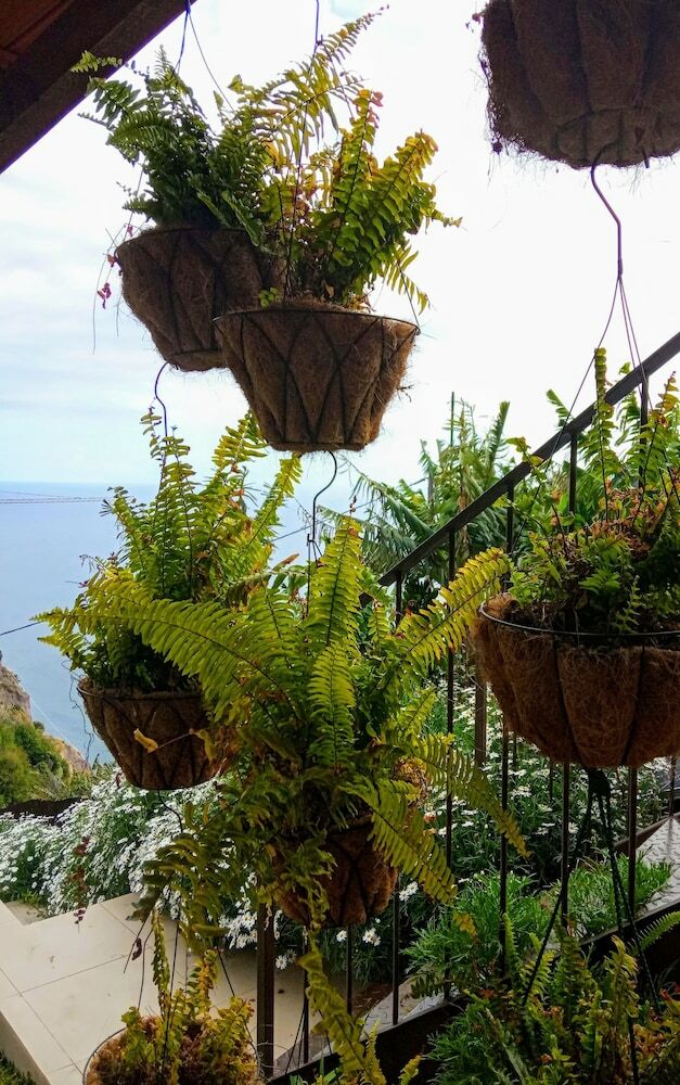 Hotel Les Terrasses Suites