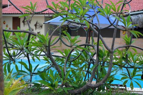 Hostal Pousada Oceania