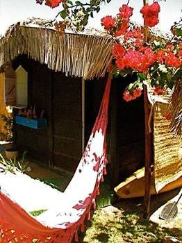 Hostal Chal� O�sis