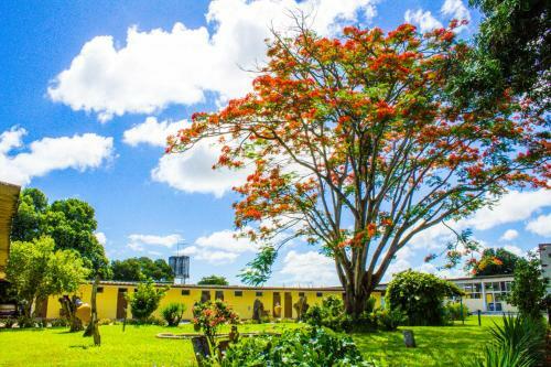 Hotel Parque Do Sol