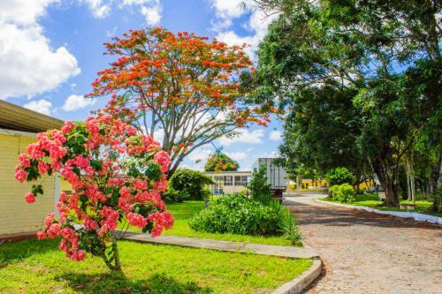 Hotel Parque Do Sol