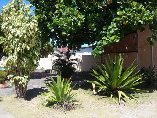 Hostal Pousada P� De Caju