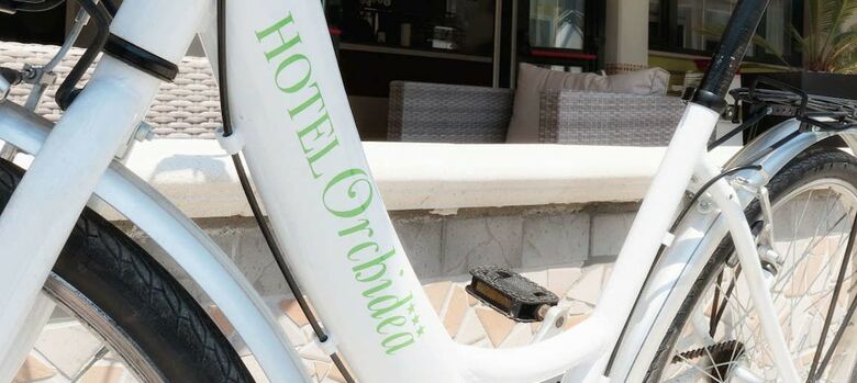 Posada Hotel Orchidea