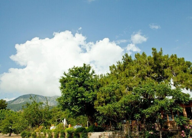 Cabana Etenna Beach Bungalows