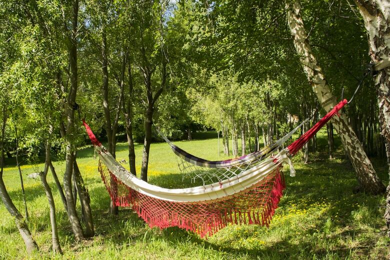 Bed & Breakfast Buena Vida Social Club