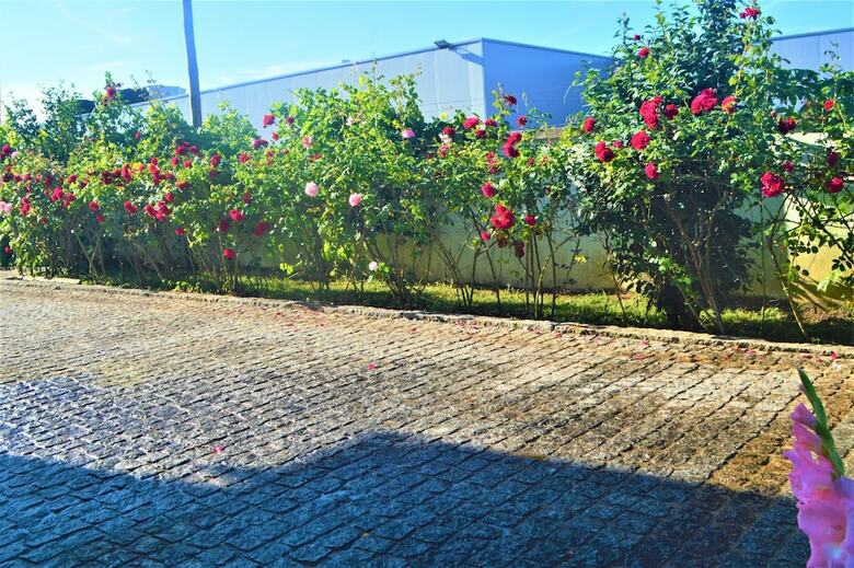 Hotel Casa L�mia