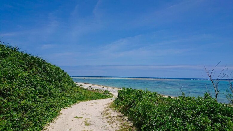 Hotel Guest House Holoholo Beach Side - Hostel