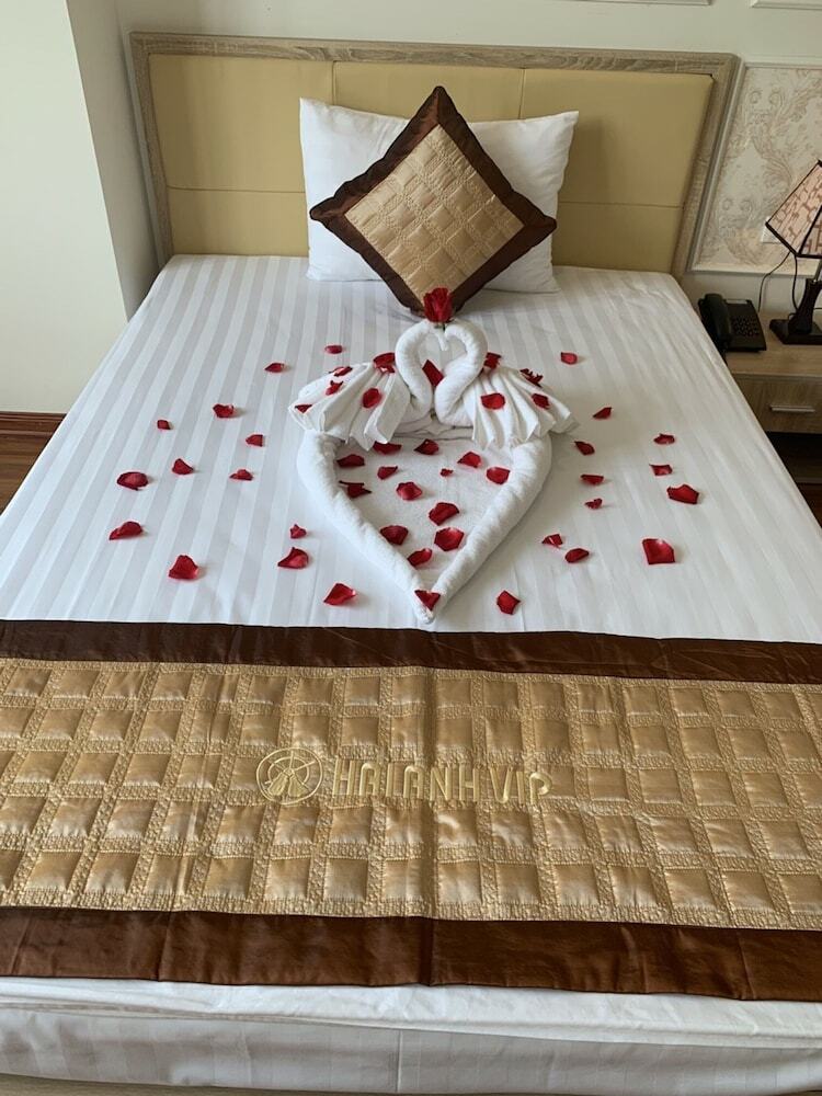 Oyo 1120 Hai Anh Vip Hotel