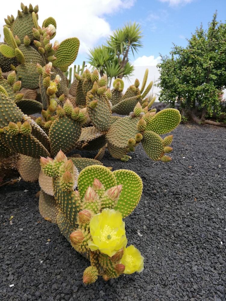 Agroturismo Casa Del Erizo - Ecofinca