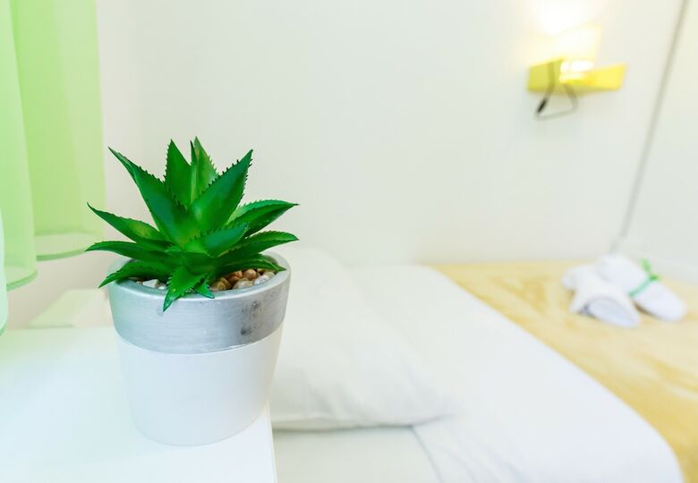 Green Forest Apartment