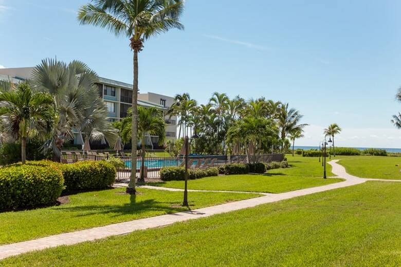 Loggerhead 133