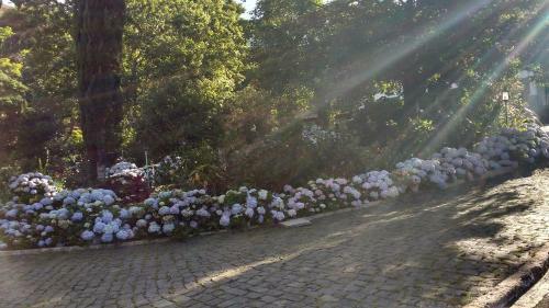 Capara� Parque Hotel
