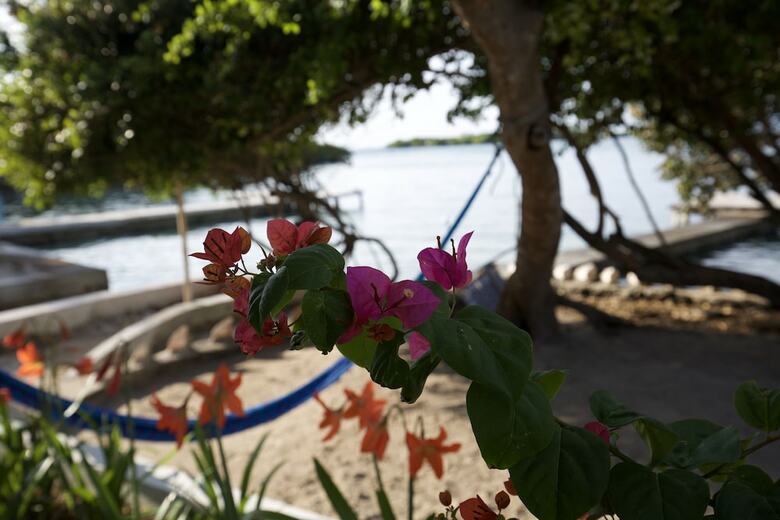 Hotel Isla Tijereto
