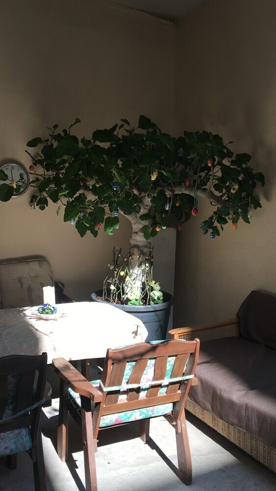 City Apartment