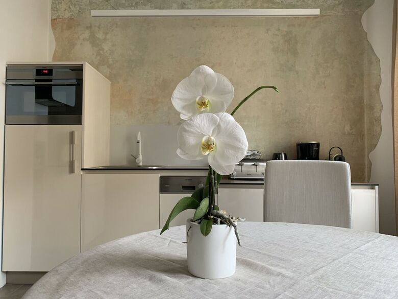Apartamentos Rennweg 114