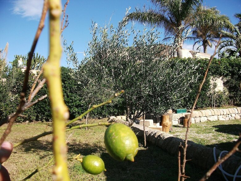 Villa Davima Marzamemi