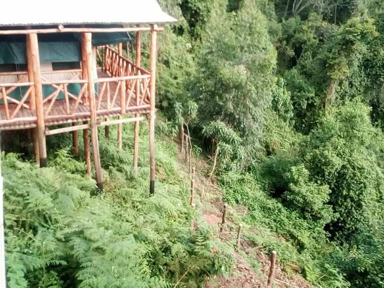Ruhija Community Rest Camp