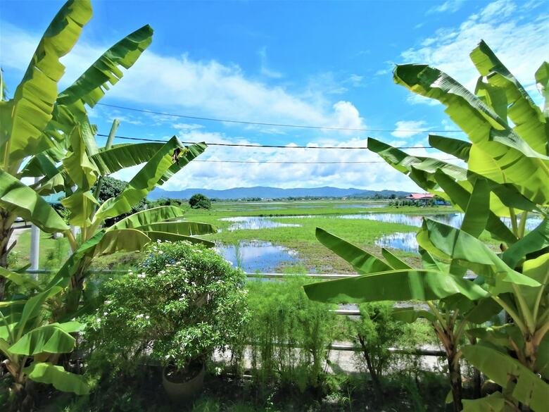 Hotel Cenang Mimpi Resort