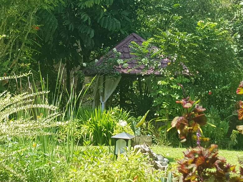 Bed & Breakfast Thousand Hills Ketambe