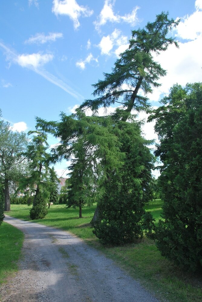 Hotel Palac W Czyzowie Szlacheckim