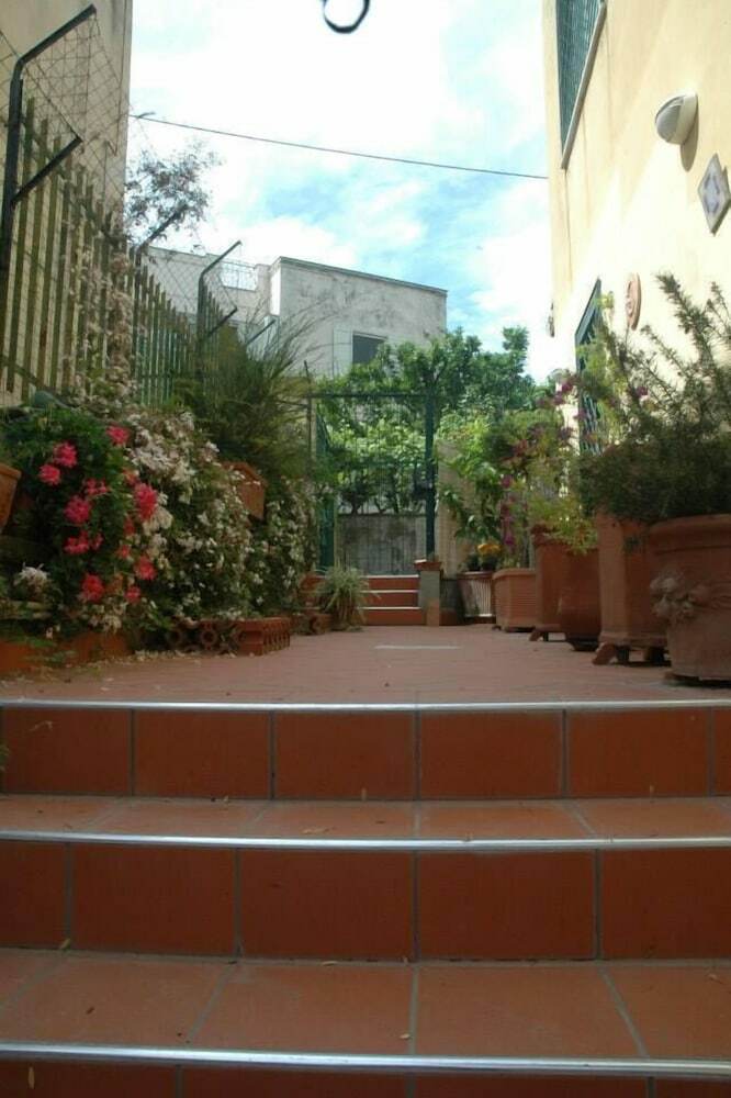 Sofia's Home Apartment With Garden