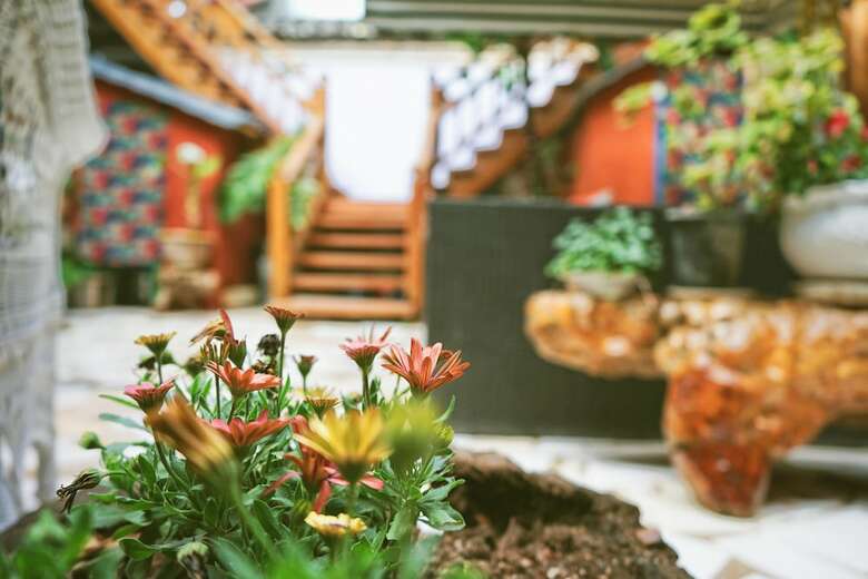 Hotel Ueno Villa