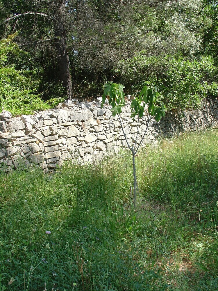 Bed & Breakfast La Perouarde