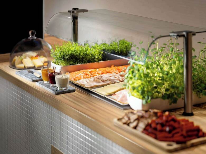 Clarion Hotel Vienna South