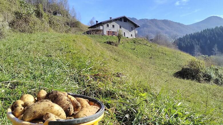 Agroturismo Agriturismo Cascina Cornella