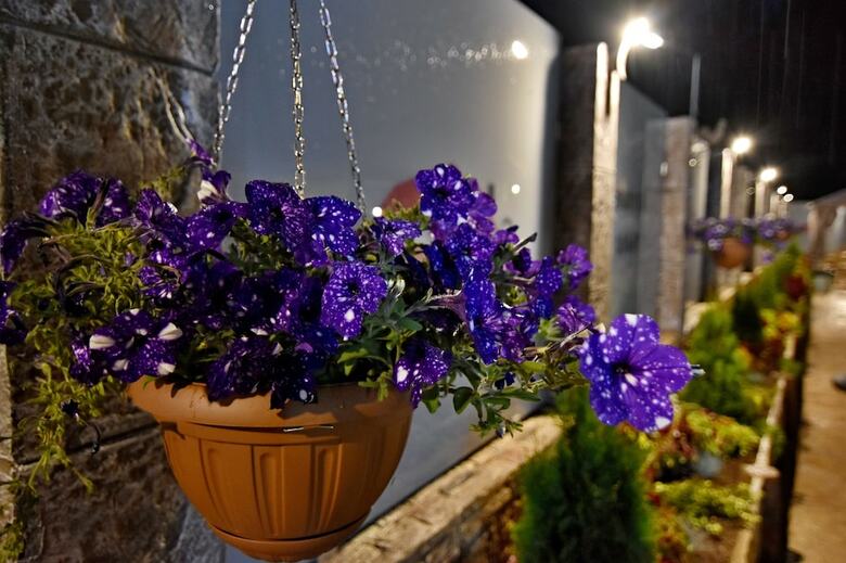 Hotel Zarevata Guest House