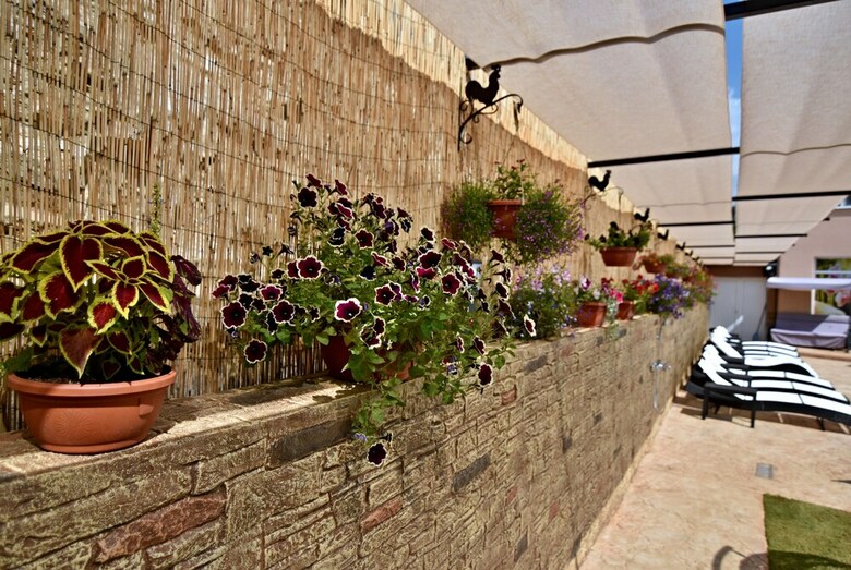 Hotel Zarevata Guest House