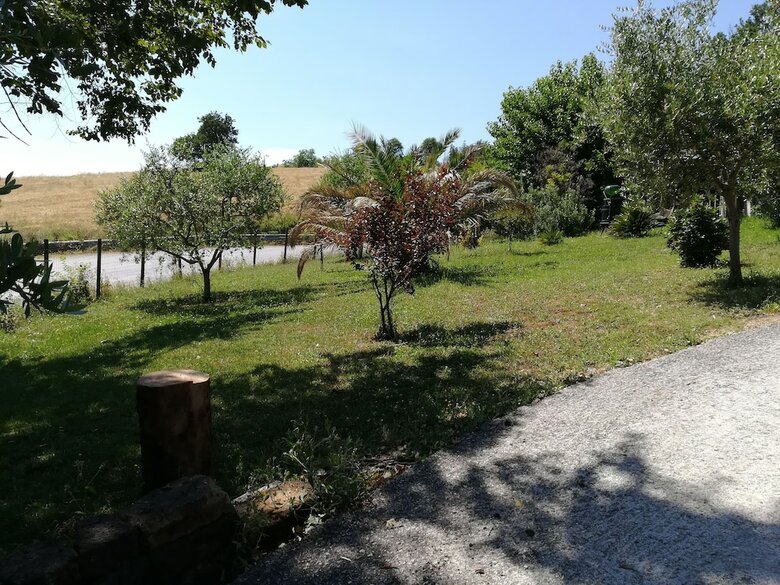 B&B Sotto L'ulivo