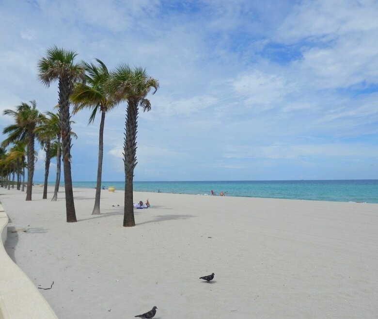 Oceanview Condo, 1/1 For 4, Large Patio