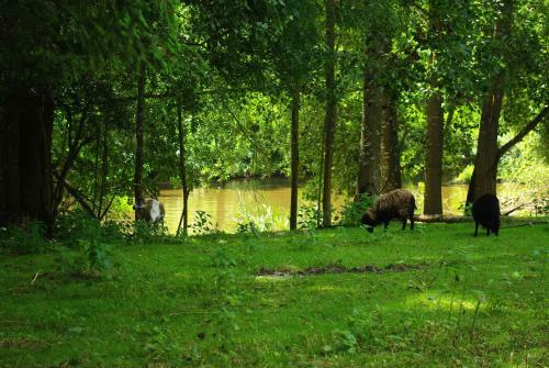 Hostal Le Moulin Du Bas Pes�