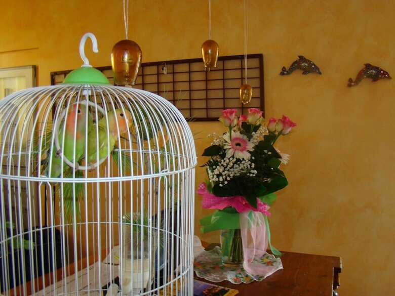 Residencia Hotel Il Casale