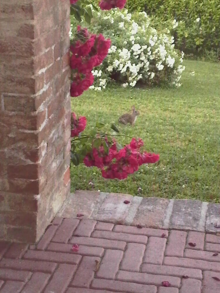 Bed & Breakfast Casa Rovelli