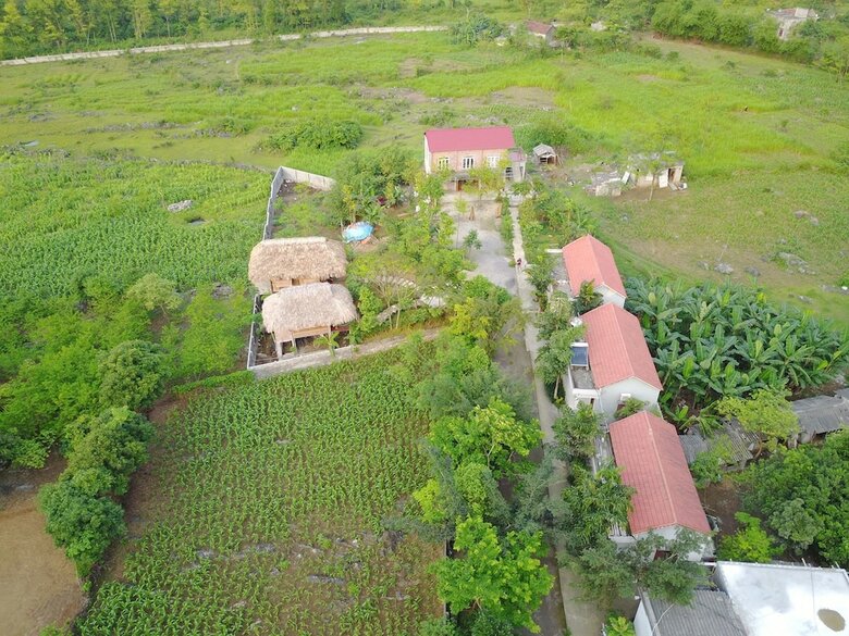 Hotel Cuc Phuong Bungalow