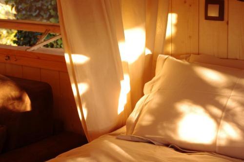 Hostal Domaine Des Grands C�dres - Maison D'h�tes