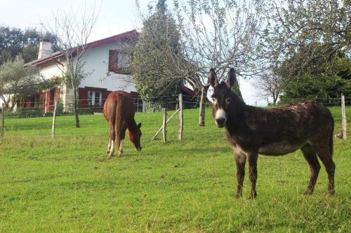 Bed & Breakfast Chambres D'h�tes Mirikuborda
