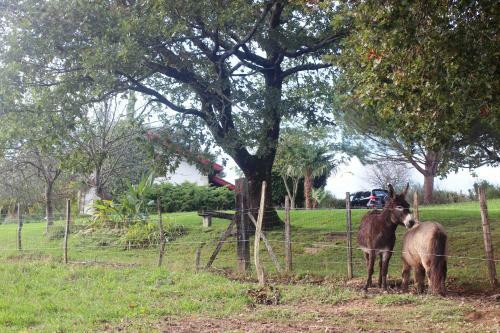 Bed & Breakfast Chambres D'h�tes Mirikuborda