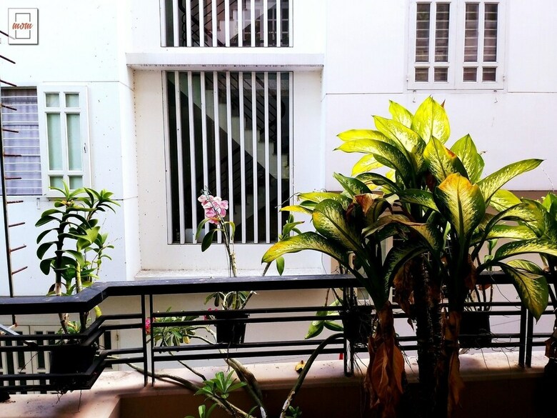Apartamentos The An Nam